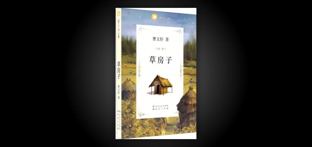 《草房子》书评